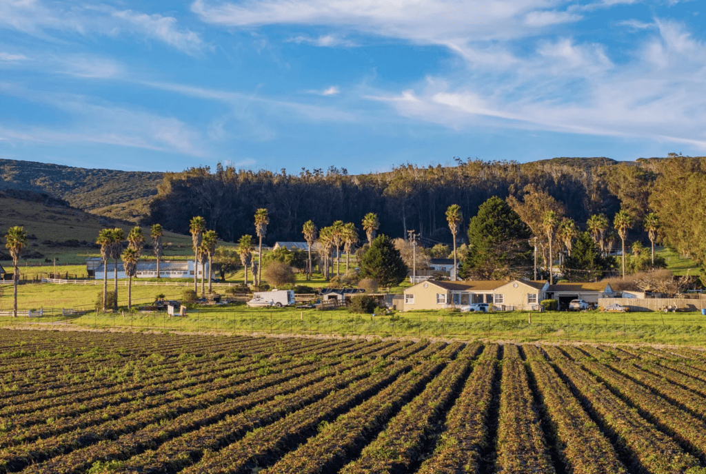 Countryside photo taken from a field with crops showing homes, trees, and hills in the distance