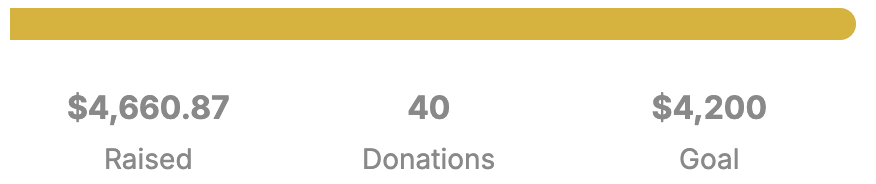 Final fundraising total for Striving for Stability After Homelessness